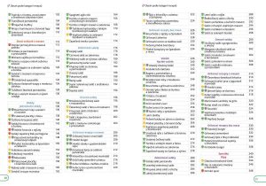 02-prazdninova-bichle