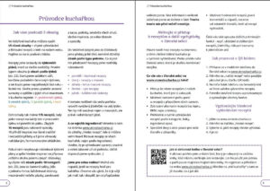 11-velka-vecerova-bichle