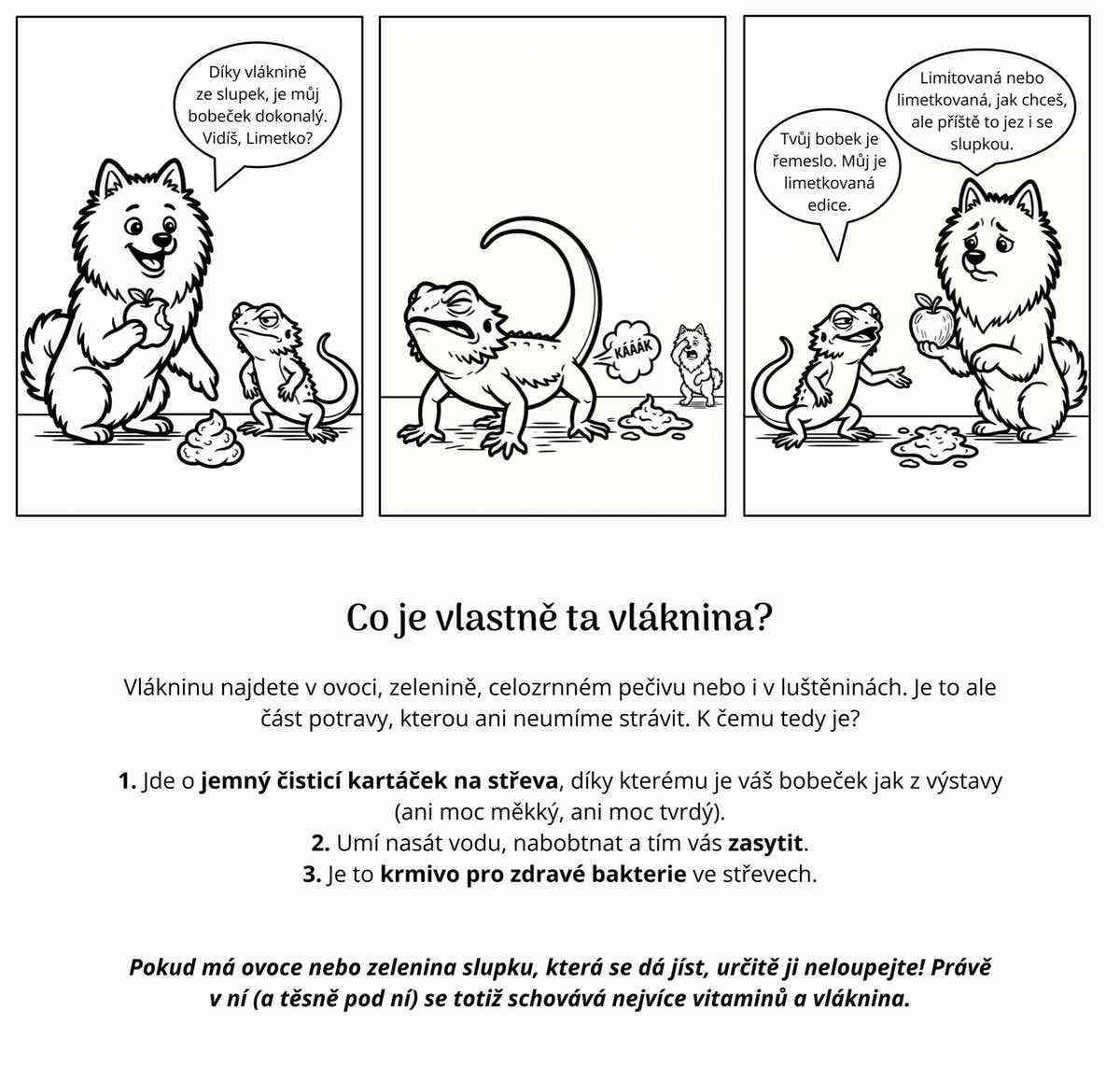 Komiksová bichle - 3