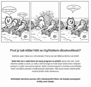 Komiksová bichle - 6